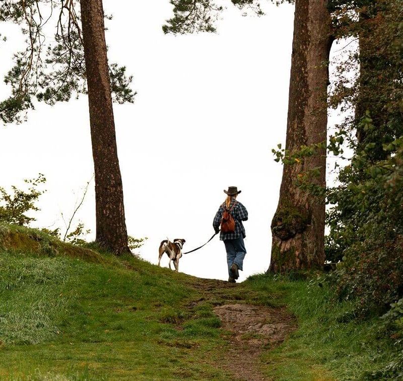 Person walking dog near Rothay Manor